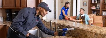 Best Pest Prevention Services  in Dorr, MI