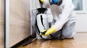 Best Residential Pest Control  in Dorr, MI